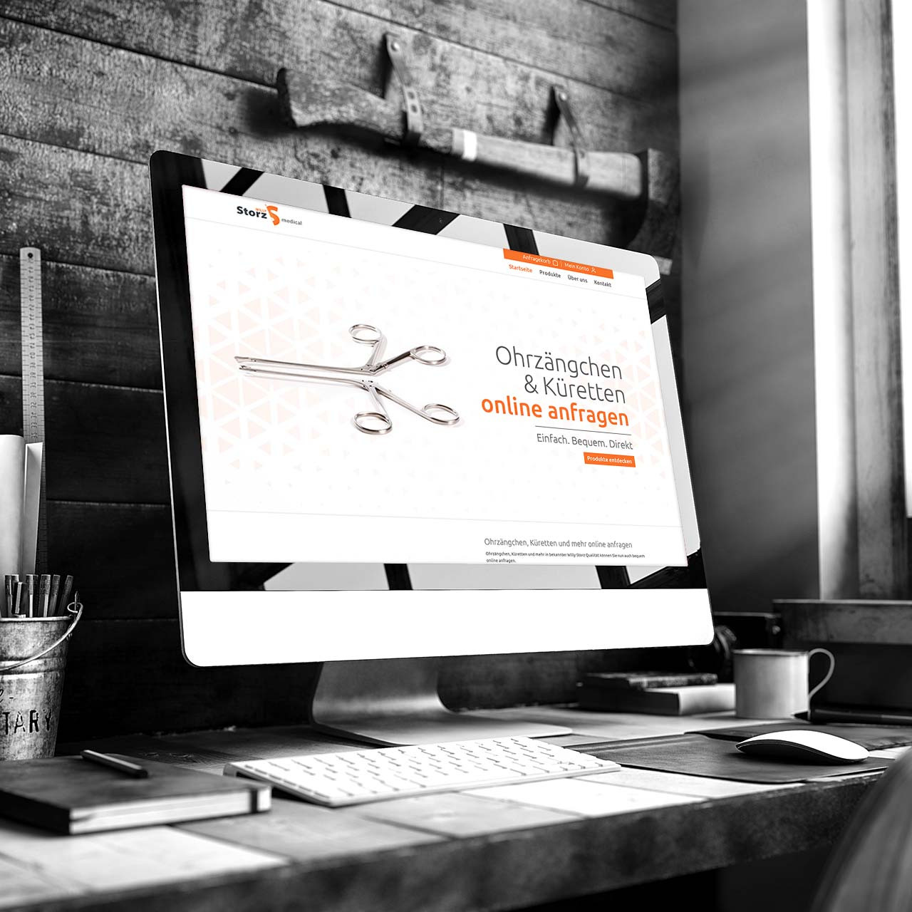 Anfrageshop von Willy Storz – Shopware-Referenz von WERK38